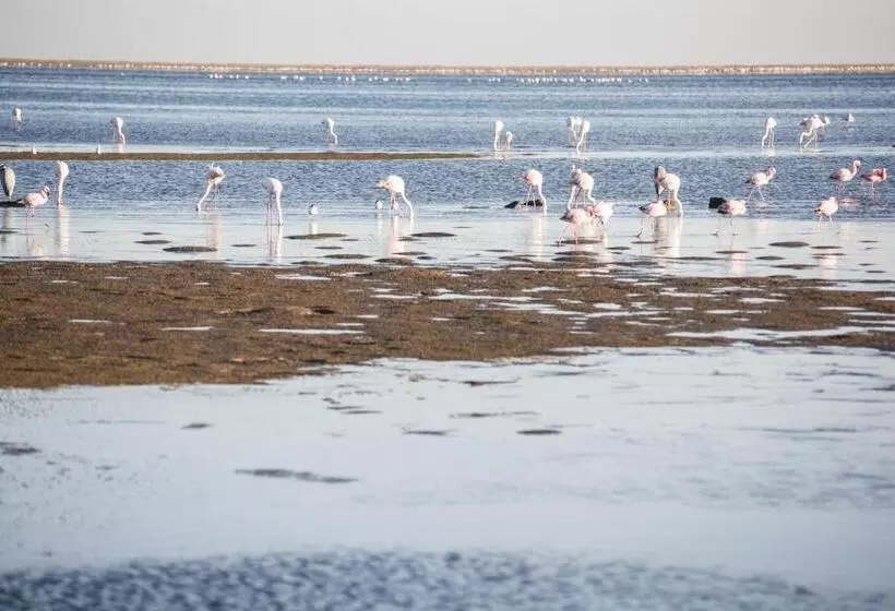 Hotelli Flamingo Villas Boutique