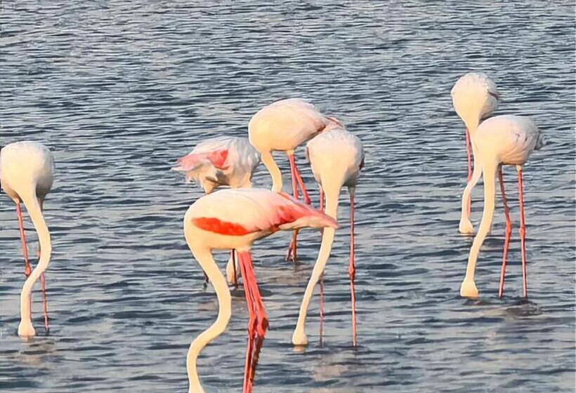 هتل Flamingo Villas Boutique