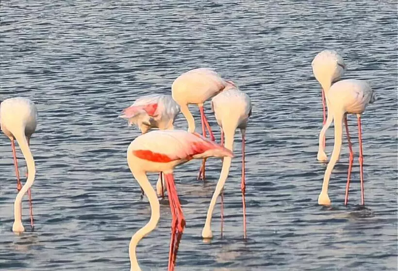 Hotelli Flamingo Villas Boutique