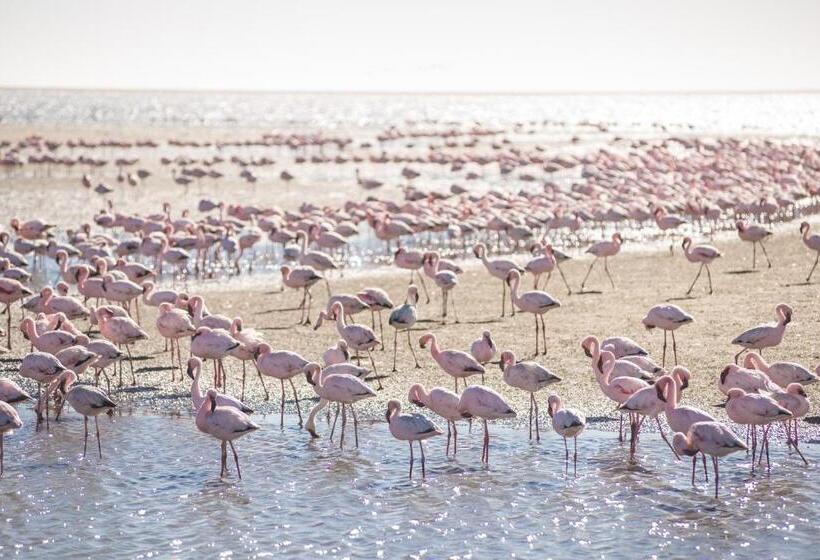 هتل Flamingo Villas Boutique