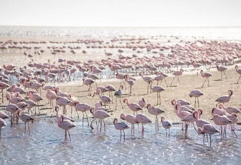Hotelli Flamingo Villas Boutique