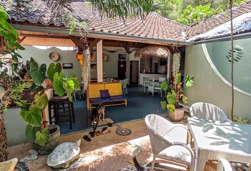 旅馆 Bamboo Paradise