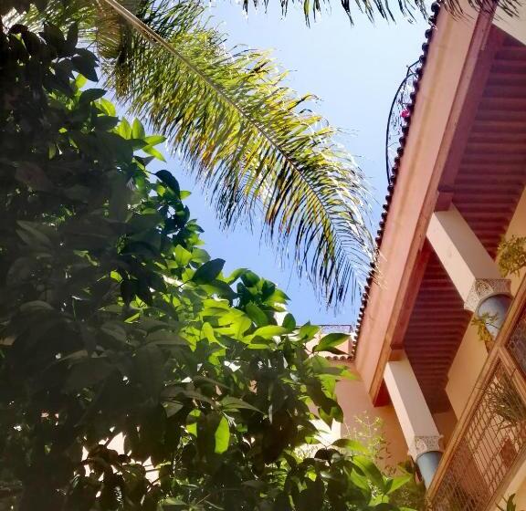 تختخواب و صبحانه Les Bains De Fez Tara