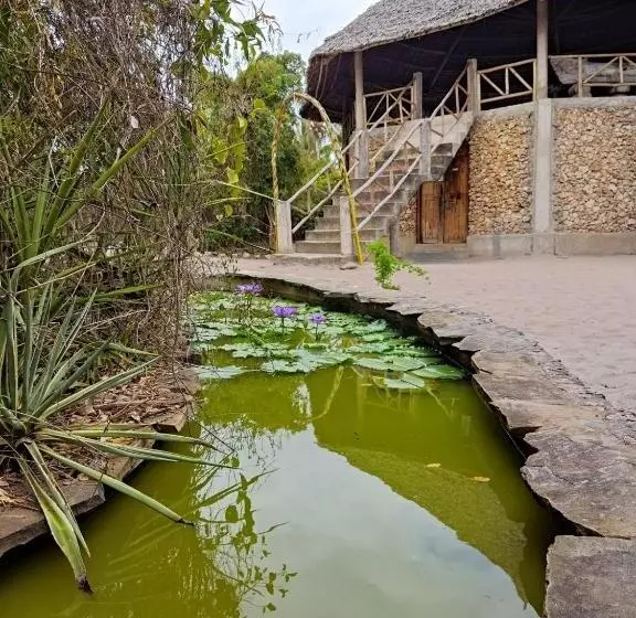 تختخواب و صبحانه Mida Creek Eco Camp