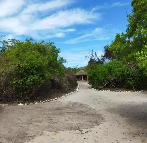 تختخواب و صبحانه Mida Creek Eco Camp