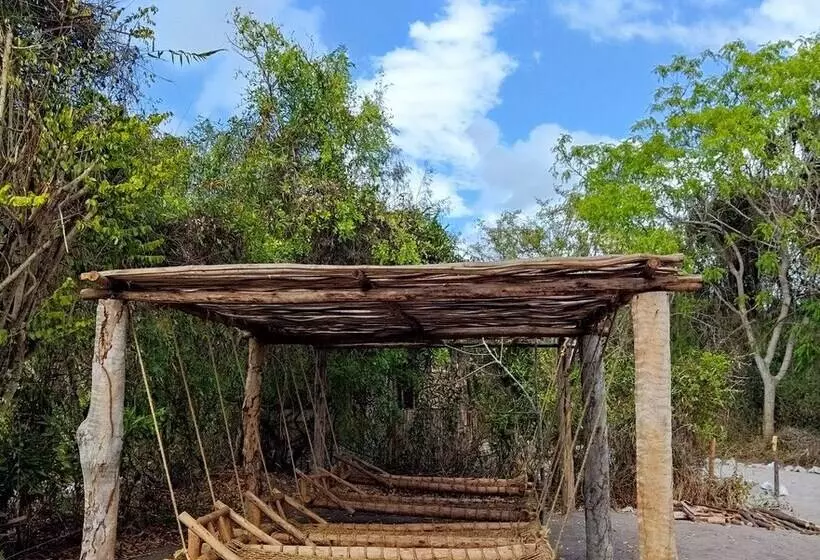 تختخواب و صبحانه Mida Creek Eco Camp