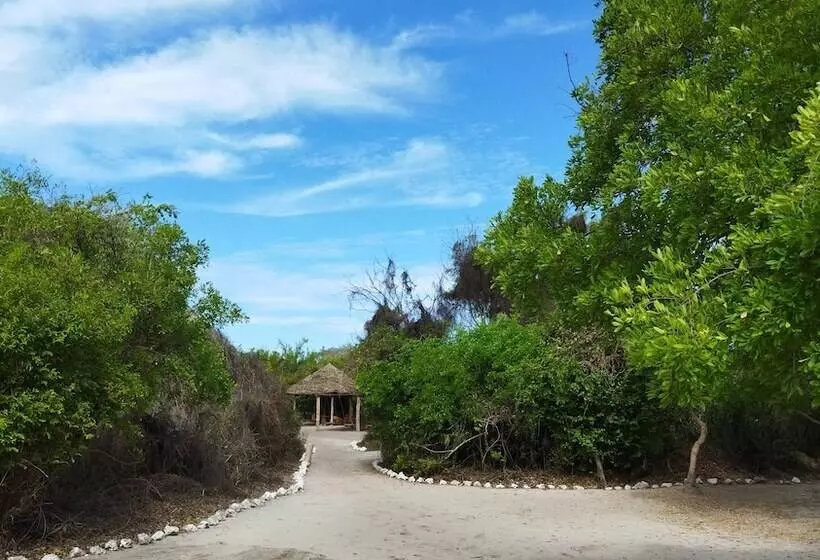تختخواب و صبحانه Mida Creek Eco Camp