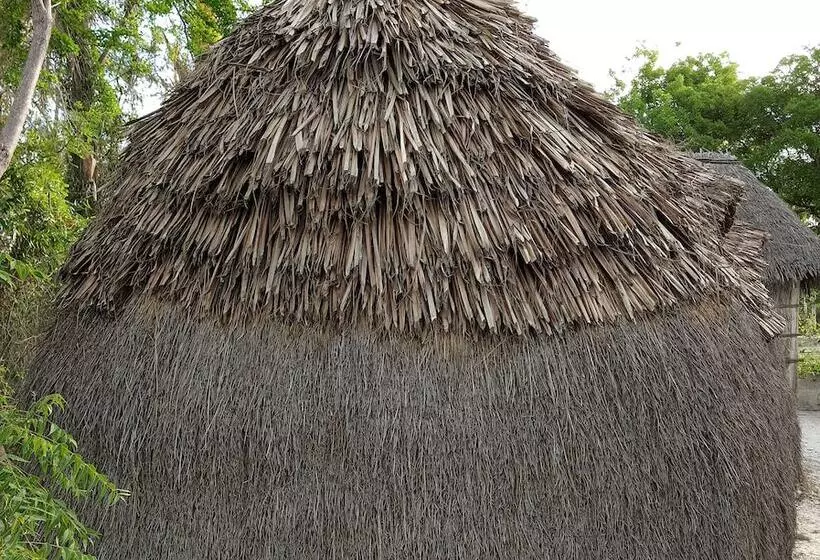 تختخواب و صبحانه Mida Creek Eco Camp