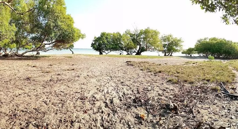 تختخواب و صبحانه Mida Creek Eco Camp