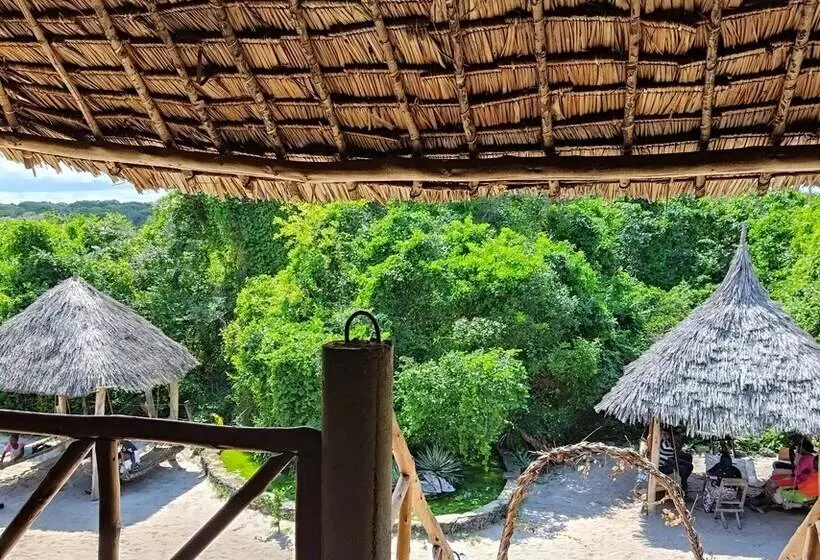تختخواب و صبحانه Mida Creek Eco Camp