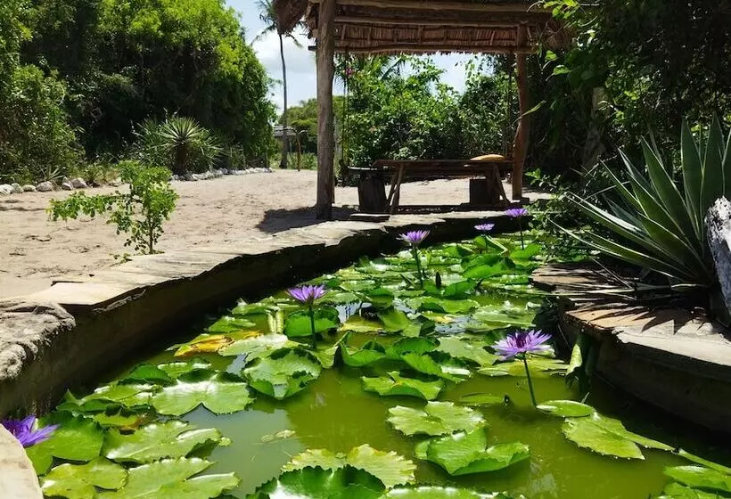 تختخواب و صبحانه Mida Creek Eco Camp