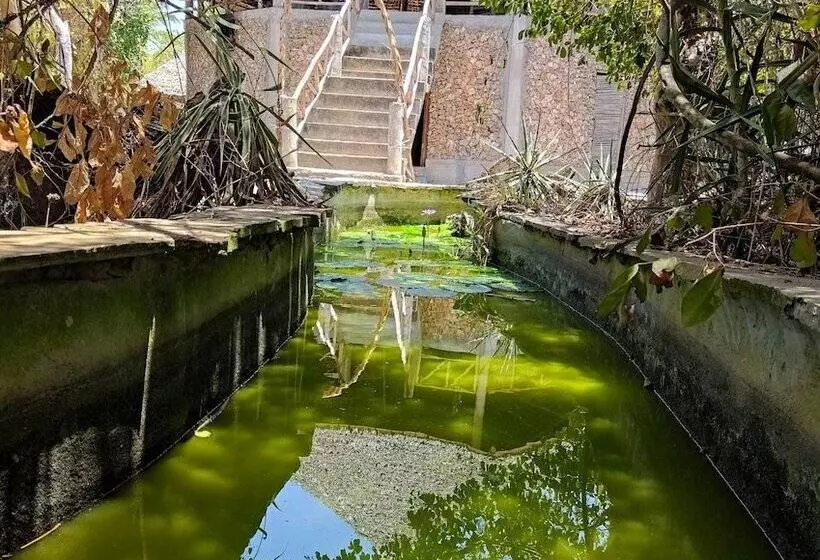 تختخواب و صبحانه Mida Creek Eco Camp