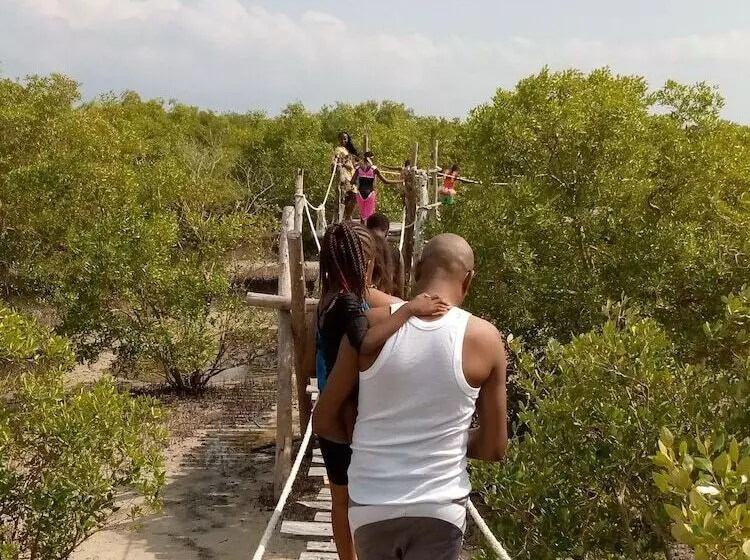 تختخواب و صبحانه Mida Creek Eco Camp