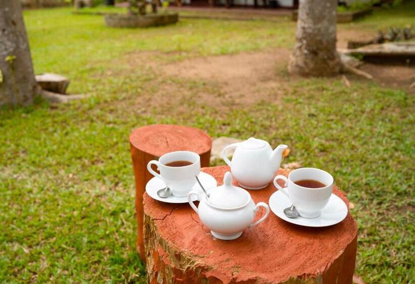 ベッドアンドブレックファースト Wild Hut Habarana