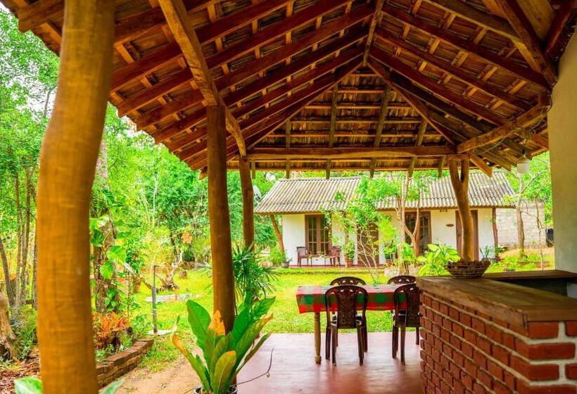 ベッドアンドブレックファースト Wild Hut Habarana