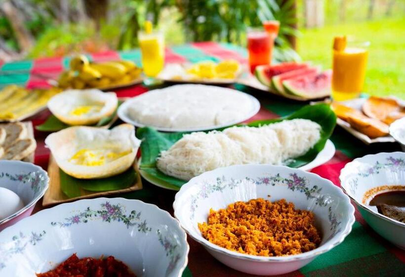 ベッドアンドブレックファースト Wild Hut Habarana