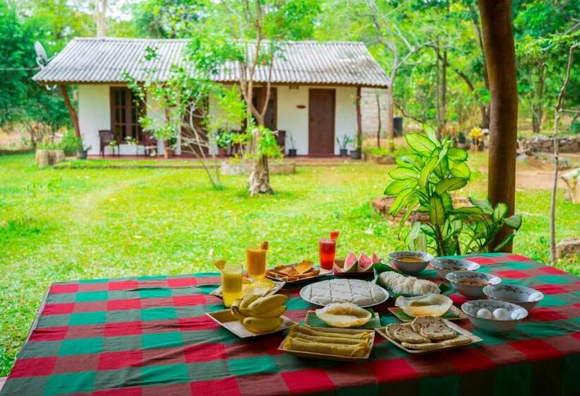 ベッドアンドブレックファースト Wild Hut Habarana