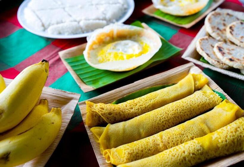 ベッドアンドブレックファースト Wild Hut Habarana