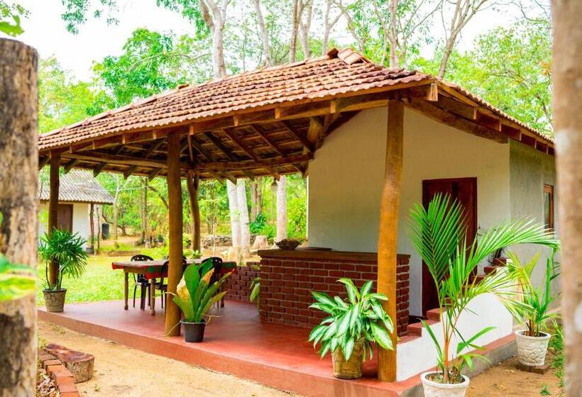 ベッドアンドブレックファースト Wild Hut Habarana