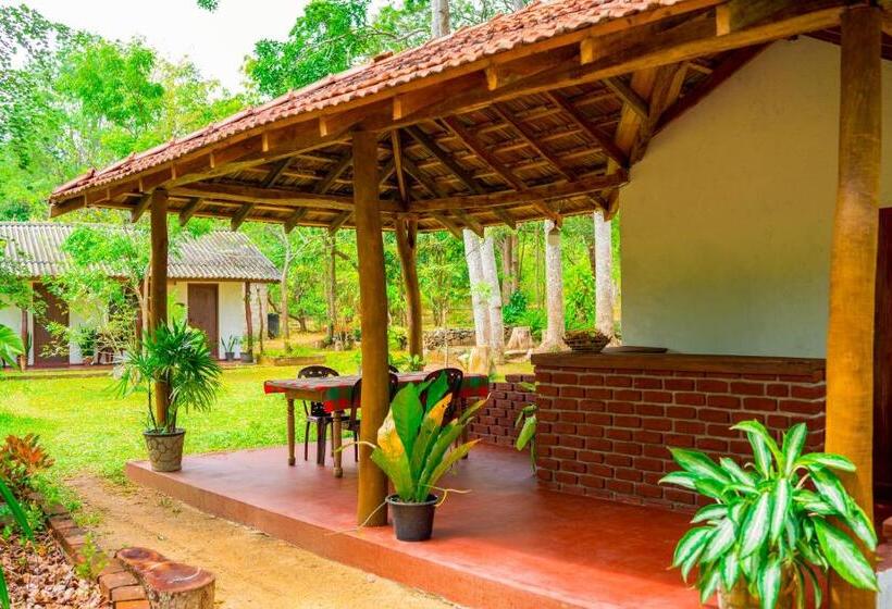 ベッドアンドブレックファースト Wild Hut Habarana