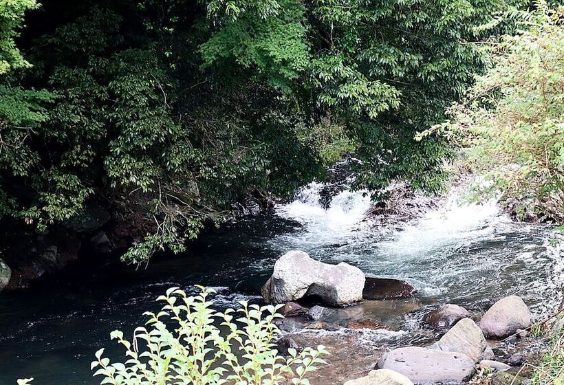 Ryokan Seseragino Oyado Tairoukan