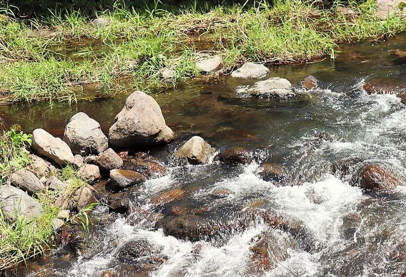 Ryokan Seseragino Oyado Tairoukan