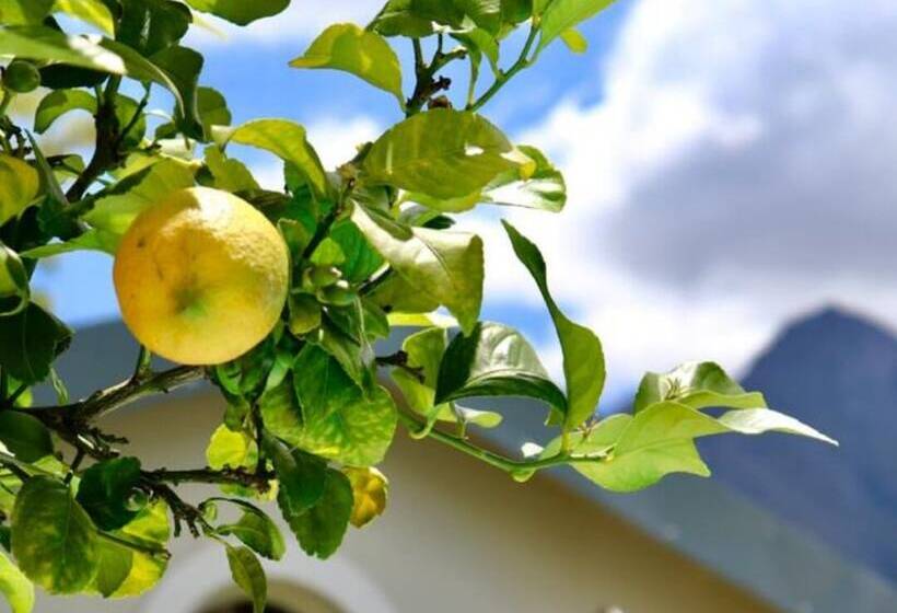 Bed and Breakfast Bergview Guesthouse Swellendam