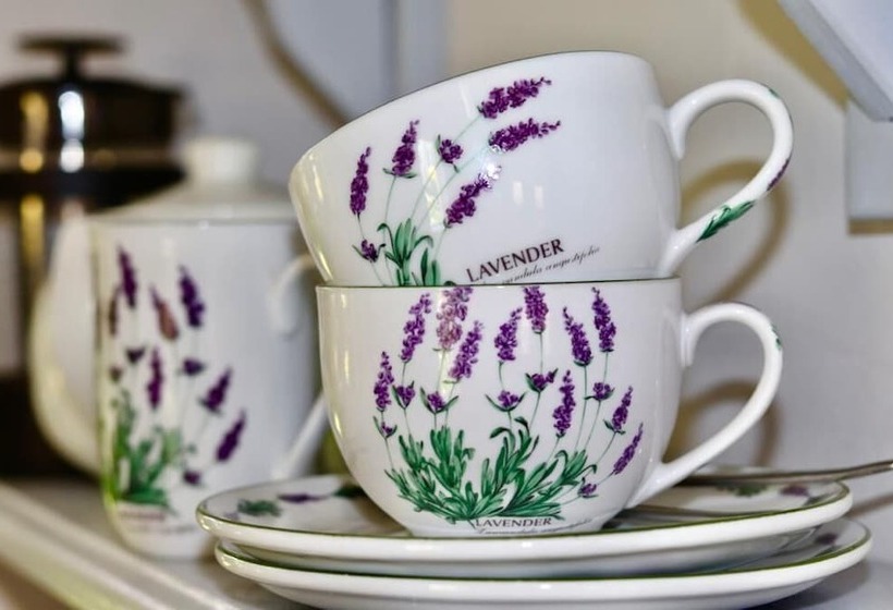 Bed and Breakfast Bergview Guesthouse Swellendam