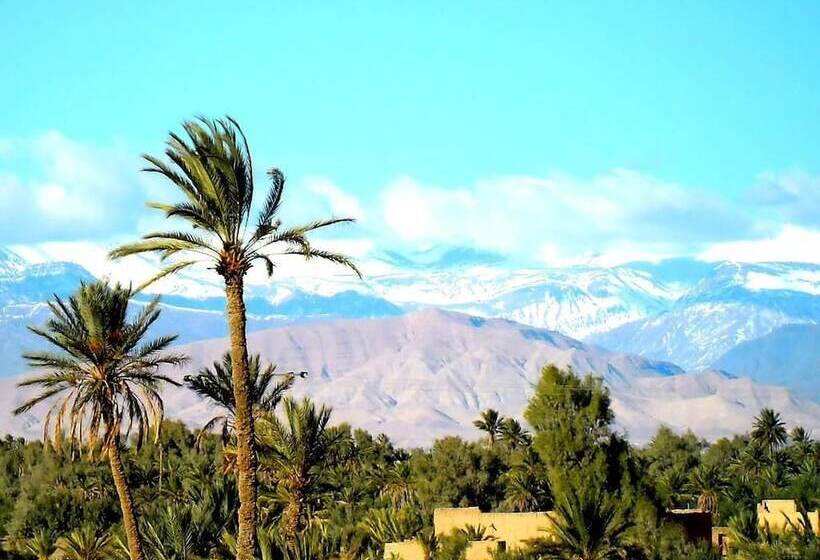 مبيت وإفطار Chez Laila