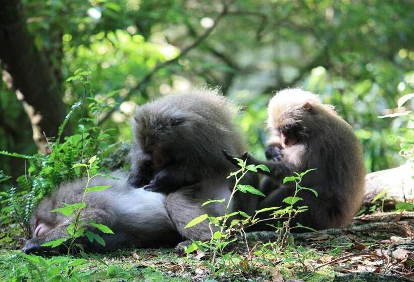Bed and Breakfast Maetakeso
