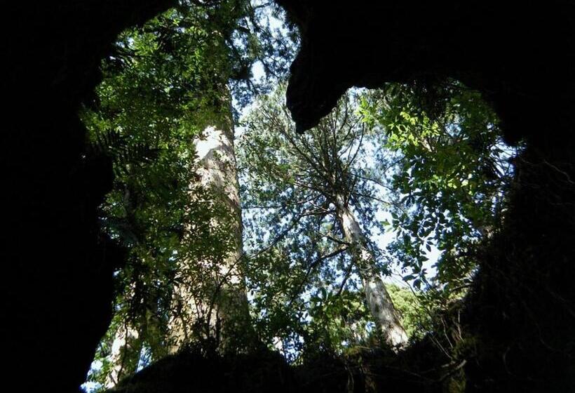 Bed and Breakfast Maetakeso