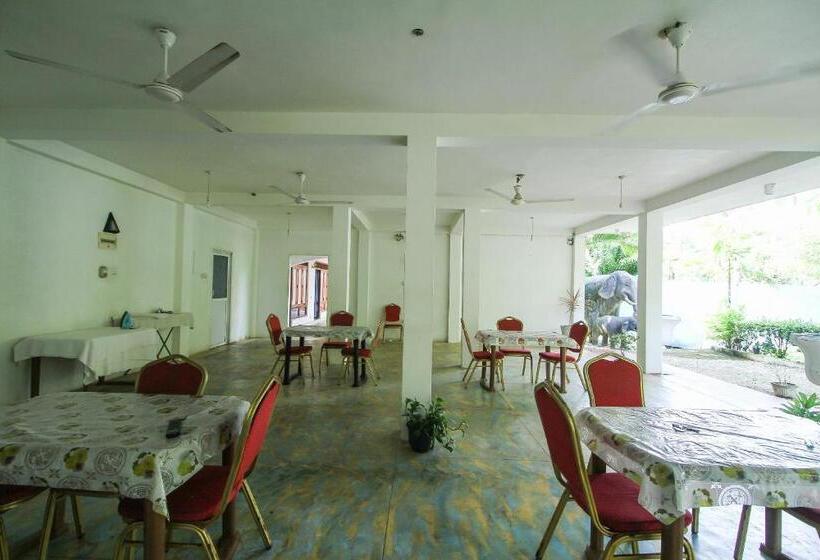 مبيت وإفطار New Okay