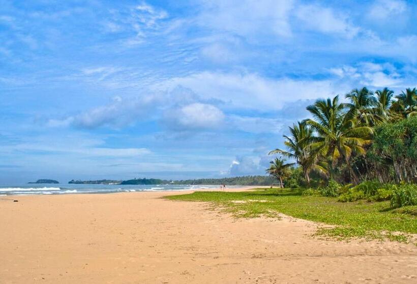 مبيت وإفطار New Okay