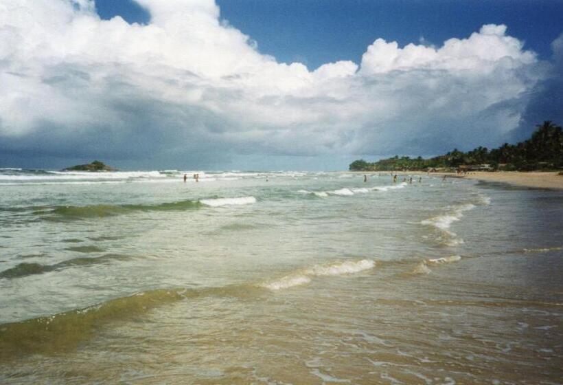 مبيت وإفطار New Okay