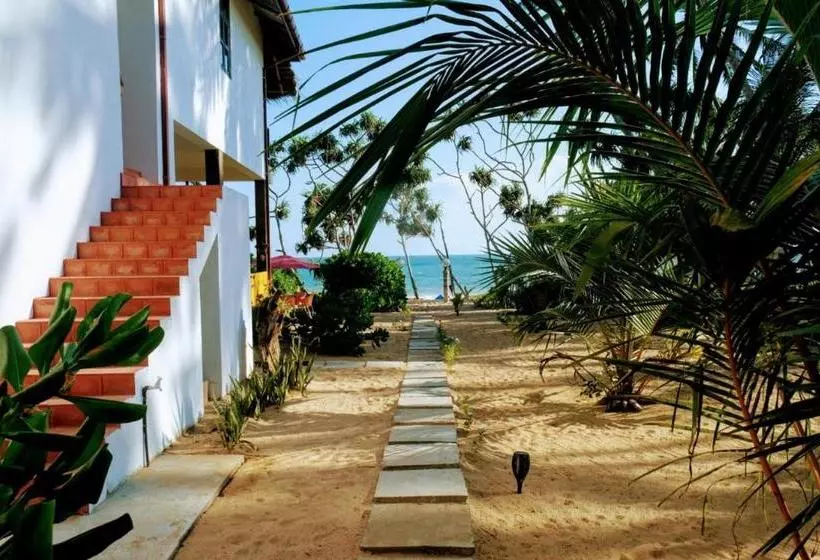 Blue Ocean Resort