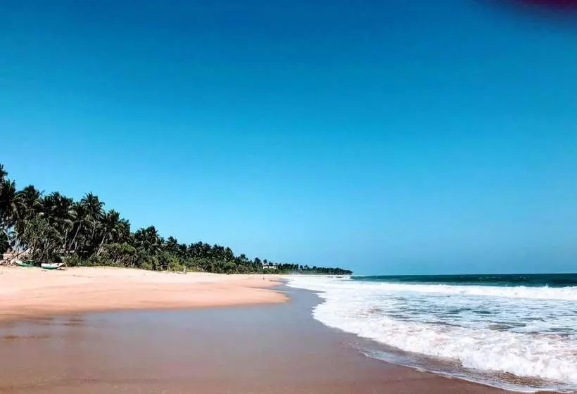 Blue Ocean Resort
