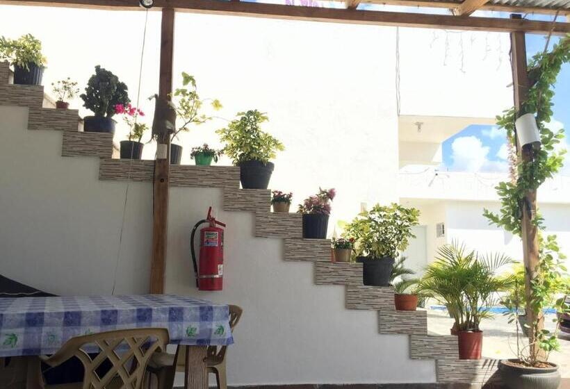 Albergo El Pulpo, Bayahíbe