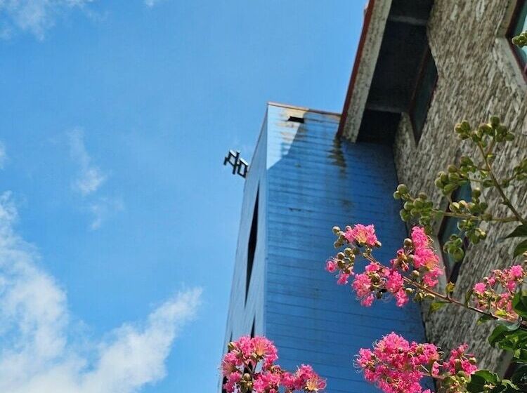 هاستل Nogodan Guesthouse And