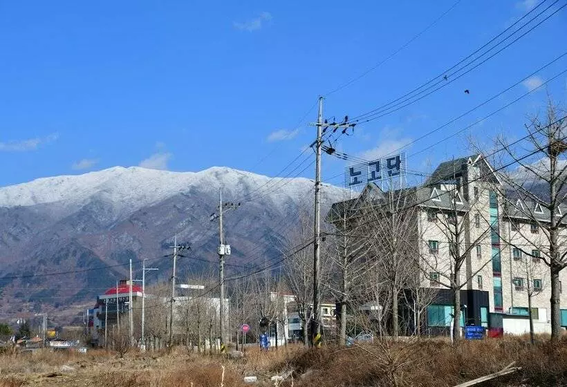 ユースホステル Nogodan Guesthouse And