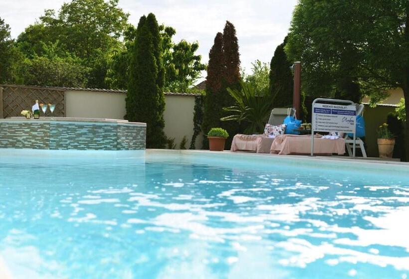 Bed and Breakfast Amfora Panzió