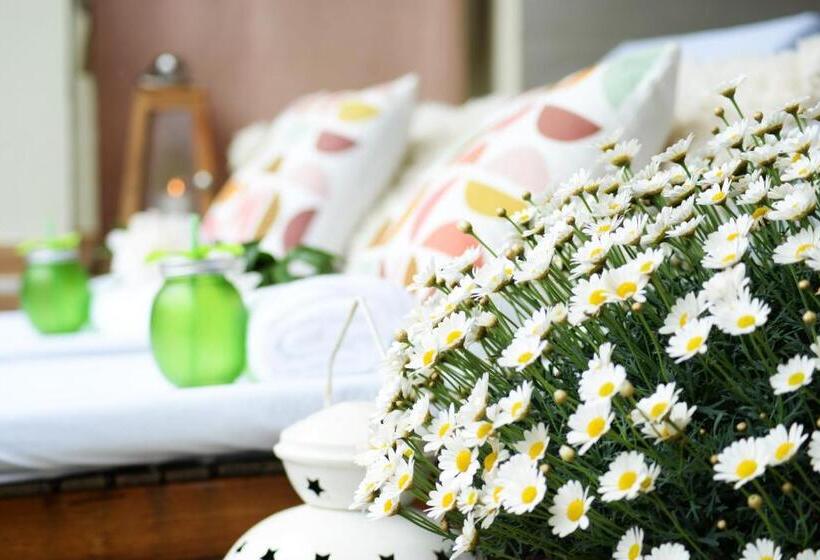 Bed and Breakfast Amfora Panzió