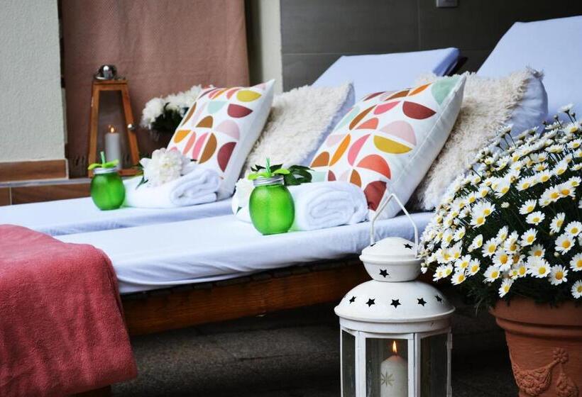 Bed and Breakfast Amfora Panzió