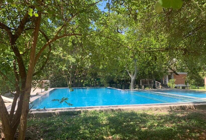 مبيت وإفطار Lario Resort