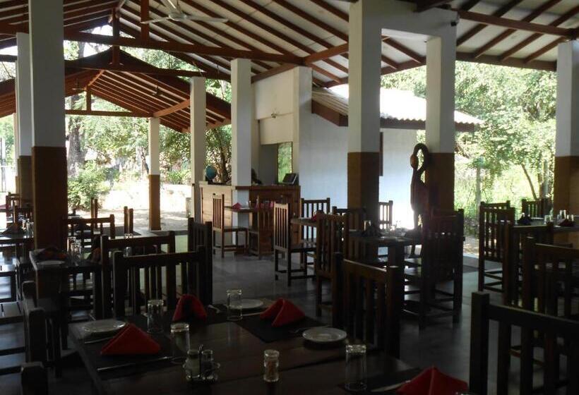 مبيت وإفطار Lario Resort