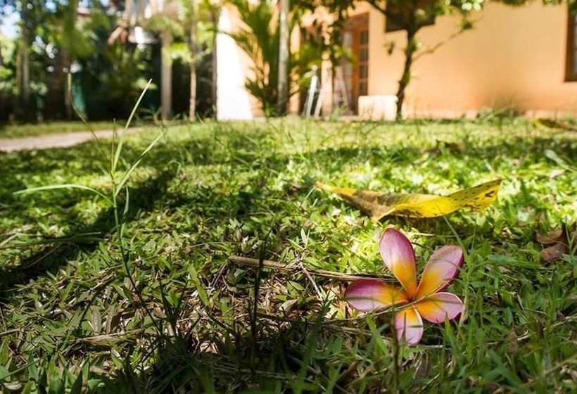 مبيت وإفطار Sholay Villa