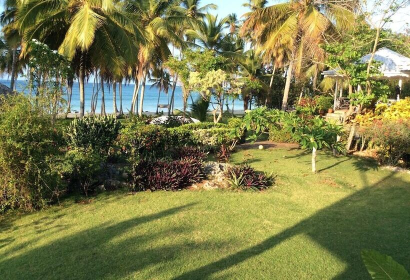 Casa Lilly B&b Cabarete