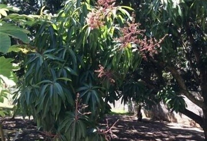 Casa Lilly B&b Cabarete