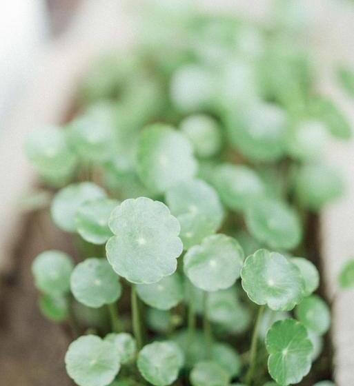 Hotelli Lao Men Dong International Youth Hostel