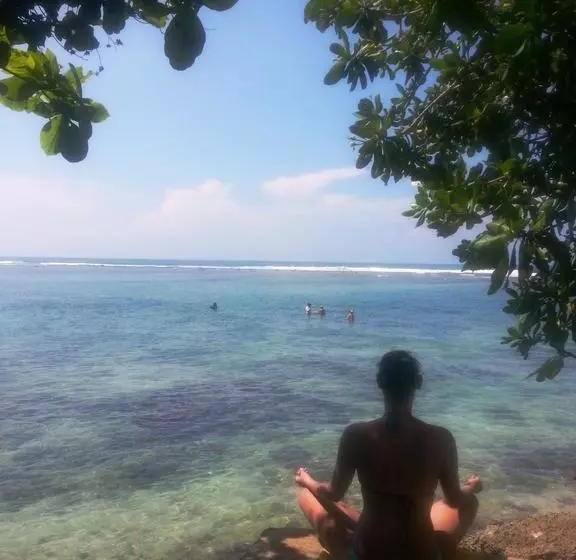 Hotelli Beach Paradise