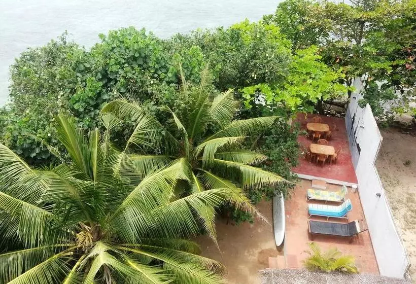 Hotelli Beach Paradise
